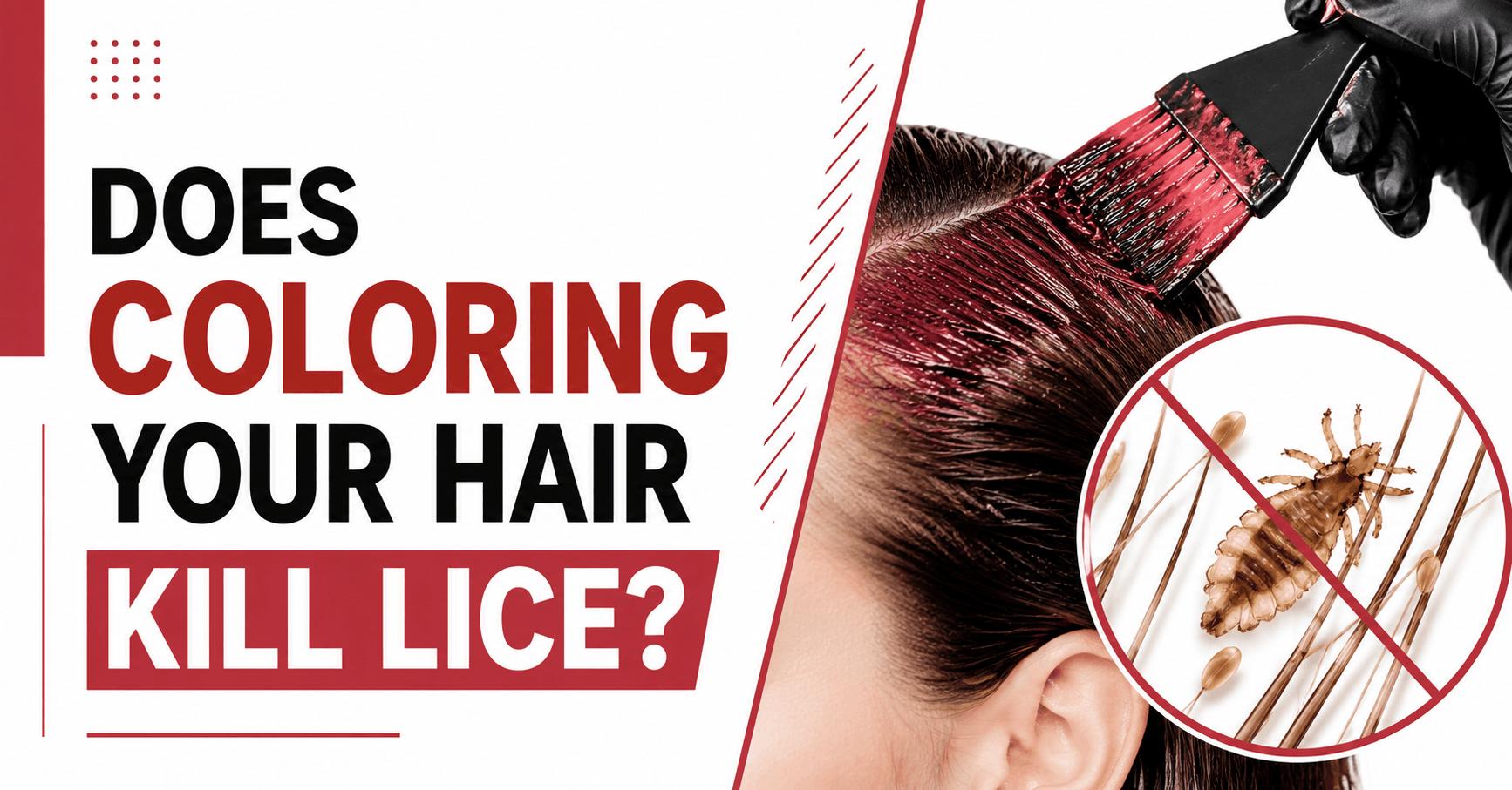 does coloring your hair kill lice